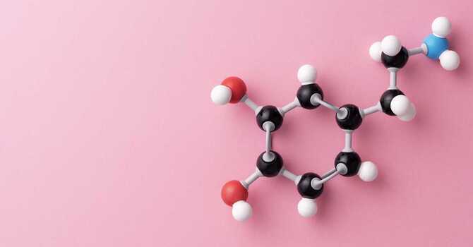 What Is Hormone Balance